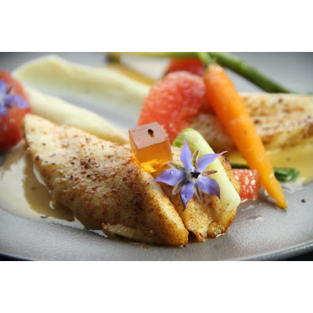 Suprême de sandre aux raviolis de truffe Suprême de sandre aux raviolis de truffe